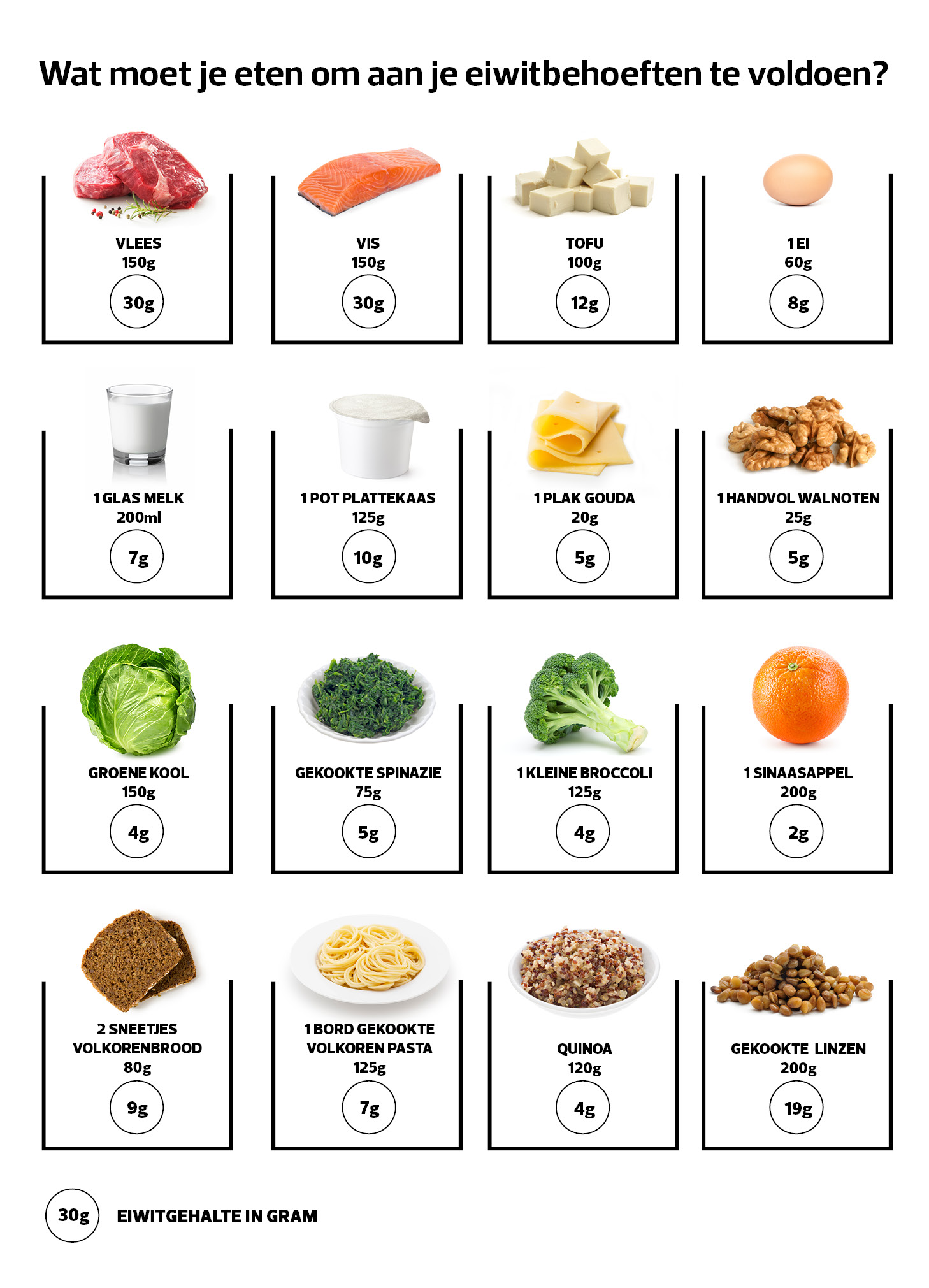 overzicht producten veel eiwitten